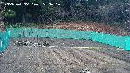 kannonmori-20250403130018.jpg