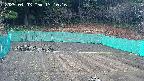 kannonmori-20250403131018.jpg
