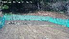 kannonmori-20250403132017.jpg