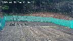 kannonmori-20250403134018.jpg
