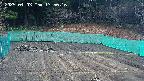 kannonmori-20250403135017.jpg