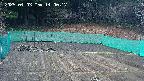 kannonmori-20250403140018.jpg