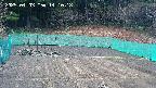 kannonmori-20250403141019.jpg