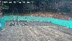 kannonmori-20250403143018.jpg