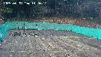kannonmori-20250403144016.jpg