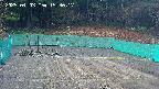 kannonmori-20250403153018.jpg