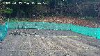 kannonmori-20250403155017.jpg
