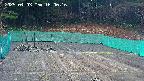 kannonmori-20250403160016.jpg