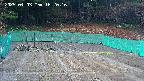 kannonmori-20250403162018.jpg