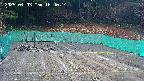 kannonmori-20250403164016.jpg