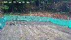 kannonmori-20250403165019.jpg