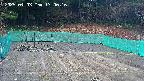 kannonmori-20250403170018.jpg