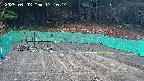 kannonmori-20250403171016.jpg
