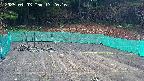 kannonmori-20250403172018.jpg