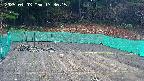 kannonmori-20250403173017.jpg