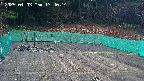 kannonmori-20250403174016.jpg