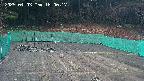 kannonmori-20250403180018.jpg