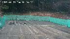kannonmori-20250403181019.jpg
