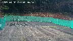 kannonmori-20250404053018.jpg