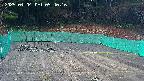kannonmori-20250404054018.jpg