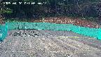 kannonmori-20250404055016.jpg