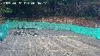 kannonmori-20250404060019.jpg