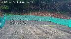 kannonmori-20250404061019.jpg