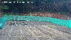 kannonmori-20250404062018.jpg