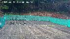 kannonmori-20250404063020.jpg