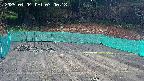 kannonmori-20250404070020.jpg
