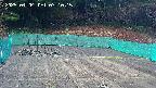 kannonmori-20250404071017.jpg