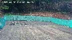 kannonmori-20250404073017.jpg