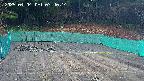 kannonmori-20250404074016.jpg