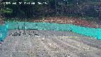 kannonmori-20250404080017.jpg