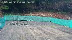 kannonmori-20250404081020.jpg