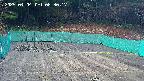 kannonmori-20250404083019.jpg