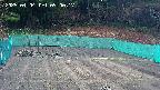 kannonmori-20250404090019.jpg