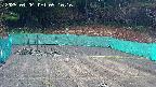 kannonmori-20250404091018.jpg