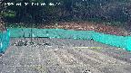 kannonmori-20250404093016.jpg