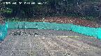 kannonmori-20250404095016.jpg