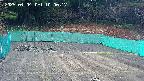 kannonmori-20250404100018.jpg