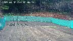 kannonmori-20250404103017.jpg
