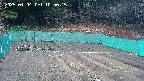 kannonmori-20250404105017.jpg