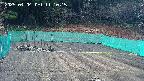 kannonmori-20250404111017.jpg