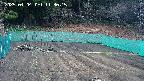 kannonmori-20250404113017.jpg