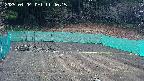 kannonmori-20250404114017.jpg