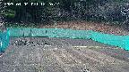 kannonmori-20250404122016.jpg