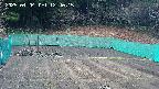 kannonmori-20250404124017.jpg