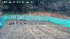kannonmori-20250404125017.jpg