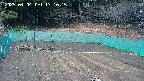 kannonmori-20250404131017.jpg